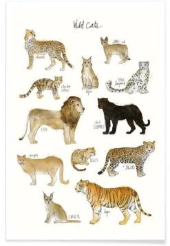 Poster "Wild Cats" In Braun & Weiß